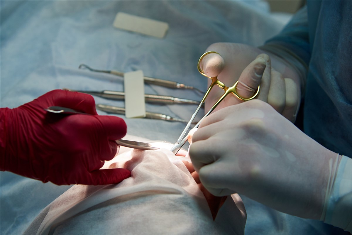 procédures et récupération après chirurgie