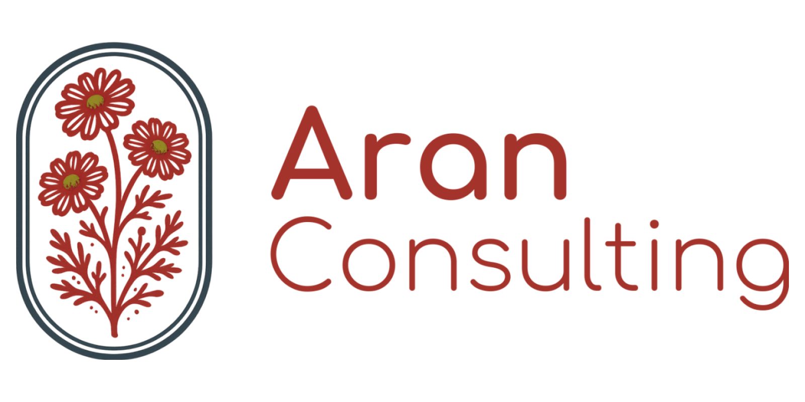 Aran Consulting
